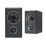 PSB B50 Tower Speaker