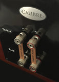 CALIBRE XD 500 Watts Internal IcePower Amp Built-In